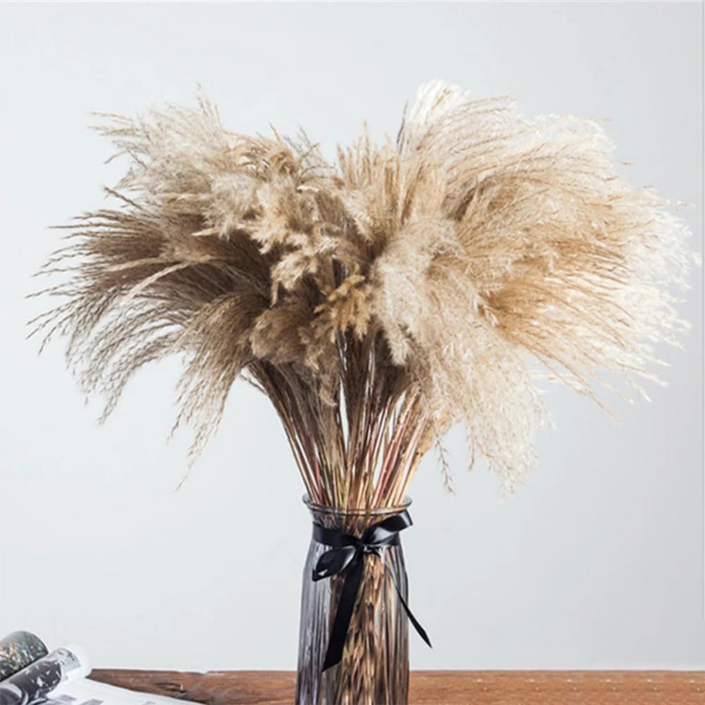 100 Fleurs Séchées en Forme De Queue De Lapin, Tiges d'herbe De La Pampa Naturelles, Style Bohème, pour Mariage, Maison, Remplissage De Vases, 30-45 Cm