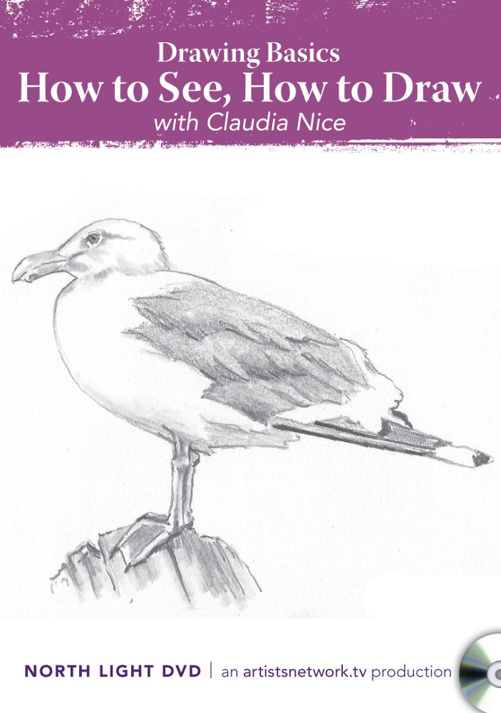 Drawing Basics How to See How to Draw with Claudia Nice