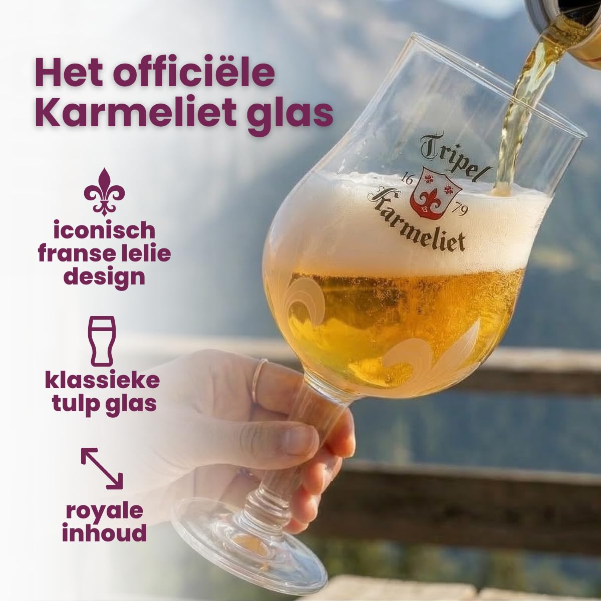 Karmeliet Vasos de cerveza 330 ml – 6 unidades