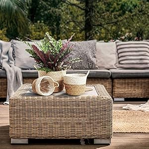 Plant Basket Planters for Indoor Plants - Plant Flower Pots Indoor Planters Decorative Pots for Plants Flower Rustic Farmhouse Planters with Handles for Home Décor Set of 3, Beige Plant Basket Planters for Indoor Plants Plant Flower Pots Indoor Planters Decorative Pots for Plants Flower Rustic Farmhouse Planters with Handles for Home Decor Set of 3 Beige