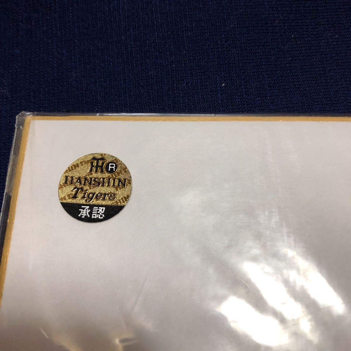 阪神タイガース　広澤克実　毎日新聞　2003 パネル 阪神タイガース 広澤克実 毎日新聞 2003 パネル 阪神タイガース