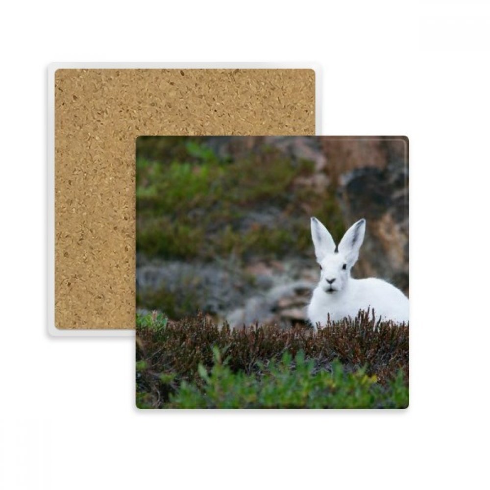 Dessous de verre Lapin Blanc pour sublimer vos pauses café