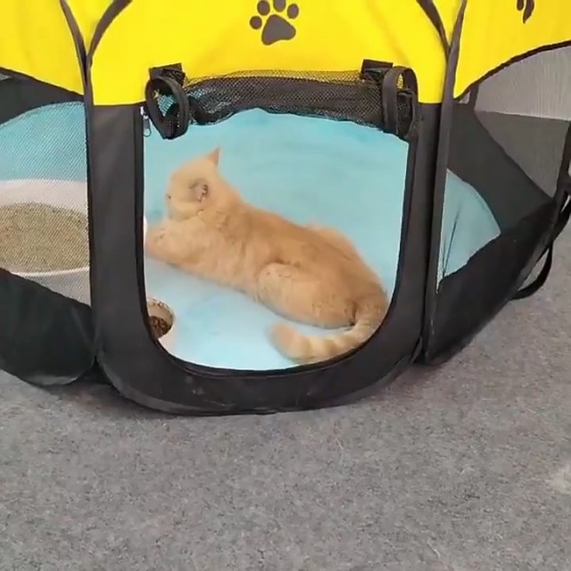 八角形 ペットサークル 折りたたみ式 収納バッグ付き 猫 犬 ケージ 組み立て不 Amazon | Floving 八角形 ペットサークル 折りたたみ式 収納バッグ付き