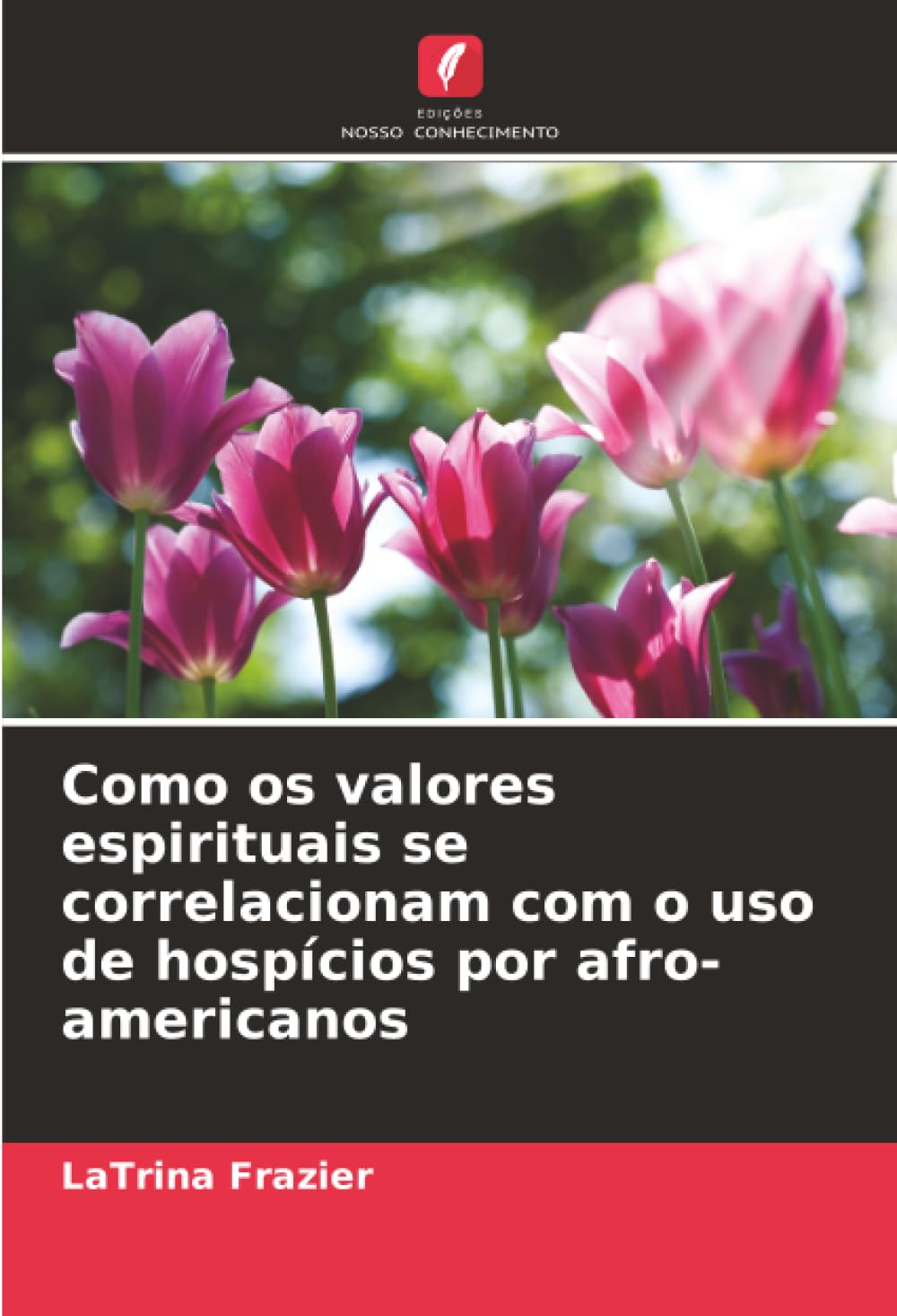 Como os valores espirituais se correlacionam com o uso de hospícios por afro-americanos