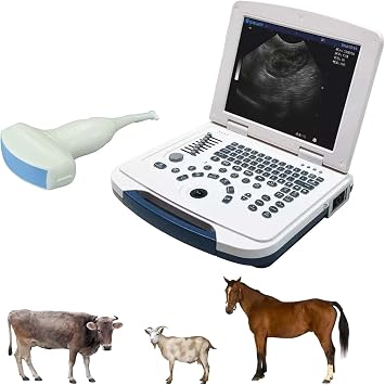 DAWEI Mu10 Veterinary Ultrasound Machine Scanner with Waterproof Probe B,BB,BM,4B for Vet Ultrasound Scanner Animals Pregnancy Examination for Dog,Sheep,Cattle,Horse,Pig Convex Probe