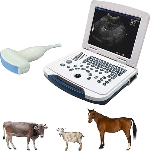 DAWEI Mu10 Veterinary Ultrasound Machine Scanner with Waterproof Probe B,BB,BM,4B for Vet Ultrasound Scanner Animals Pregnancy Examination for Dog,Sheep,Cattle,Horse,Pig (Convex Probe)