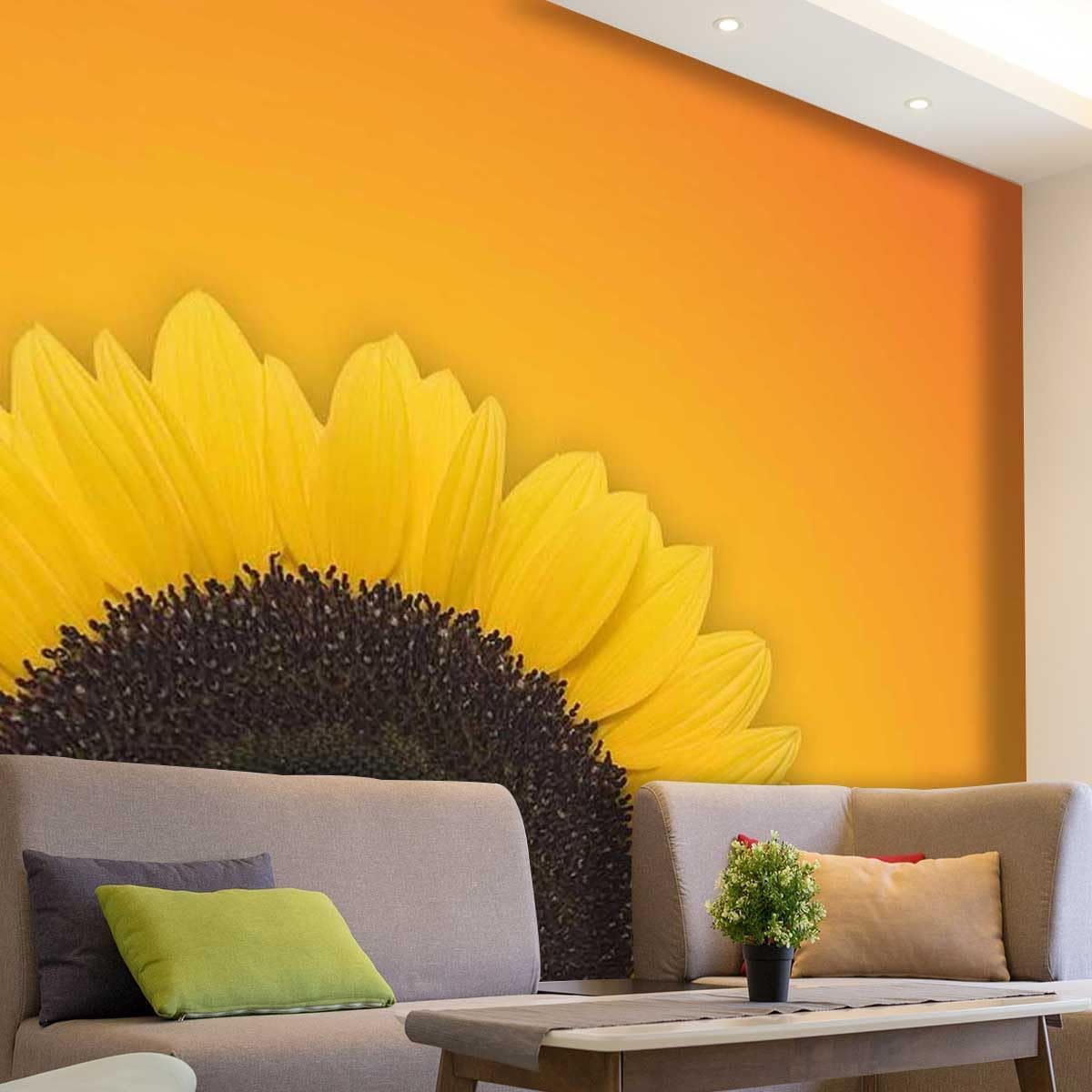Papier peint panoramique tournesol pour illuminer un mur sombre