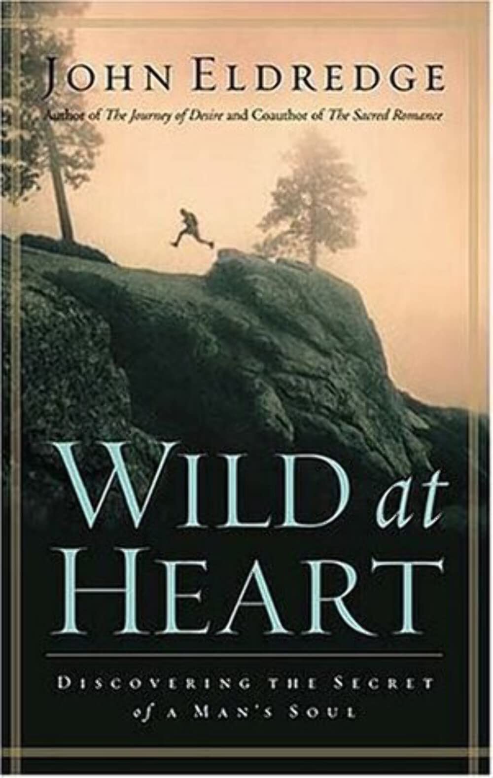 Wild at Heart johneldredge 9780785218951 Books