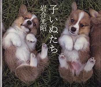 JP Oversized ????? [Unknown] Book