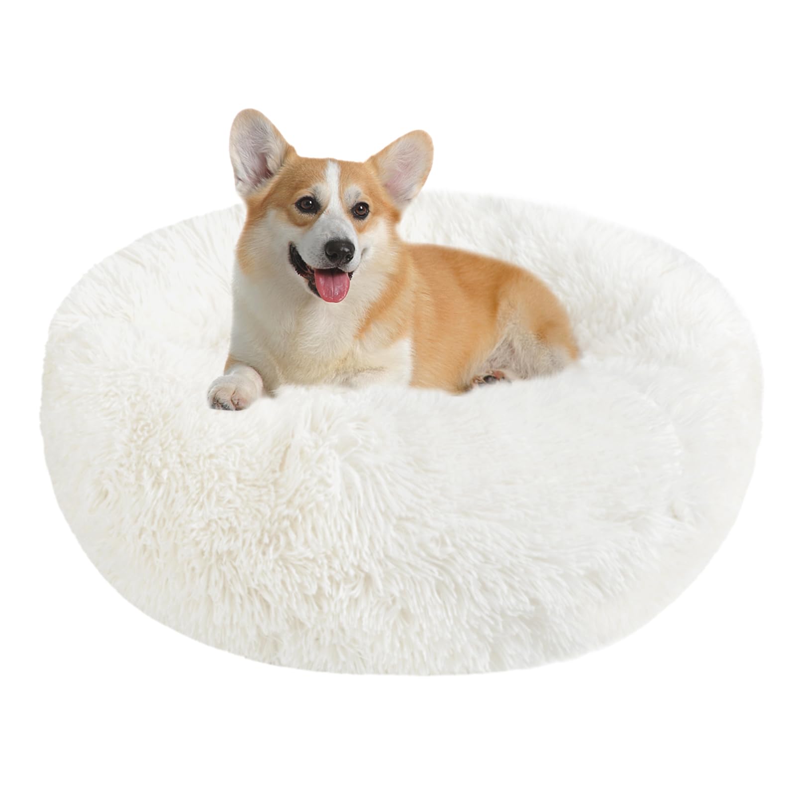 Cuccia Gatto Cane Antistress Morbida - Cuscino Pelosa per Cani Gatti Interno Nuvola Soffice Peluche Rotondo da Ciambella, Letto Pelosa per Animale Domestico Piccola Media (XL-70cm/27.6in, Beige)