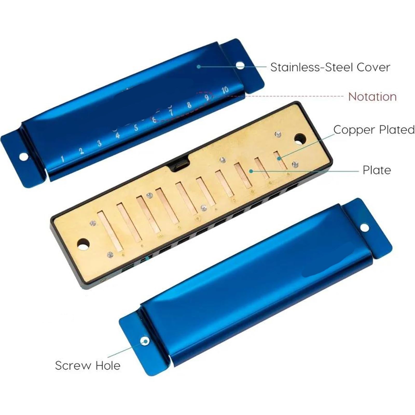 Armonica Set Di Armonica A Bocca Da 7 Pezzi 10 Fori 20 Toni Blues Con Custodia In EVA