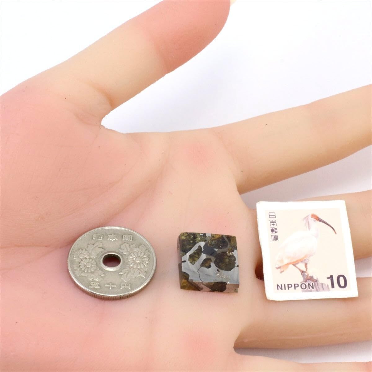 3.7g スライス 標本 石鉄隕石 パラサイト 【重量】 Imilac No.18