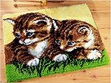 Raixleb Knüpfteppich zum Selber Knüpfen Set Erwachsene/Kinder Vorbedruckt Leinwand All-In-One Set 53x38cm DIY Latch Hook Kits für Anfänger Profi für Hause Sofa Wandteppich Ideal Katzen