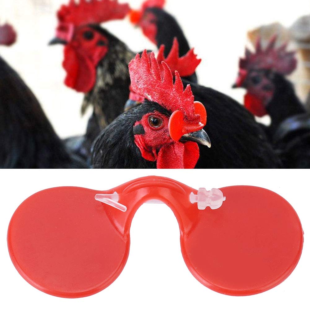 1000 Pezzi di Occhiali antipicchi per polli, Occhiali protettivi per pollame, Occhiali in plastica per Galline ovaiole e polli da Carne per ridurre i combattimenti, con Design a