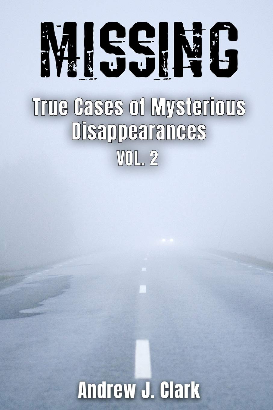Missing True Cases of Mysterious Disappearances 2 (Missing Person Case Files)