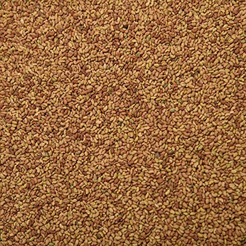 Image of NatureVit Alfalfa Seeds for Sprouting 200g | Rich in Vitamins & Minerals | Natural Edible Alfa Alfa Seeds | Sprouting, Eating, Salad