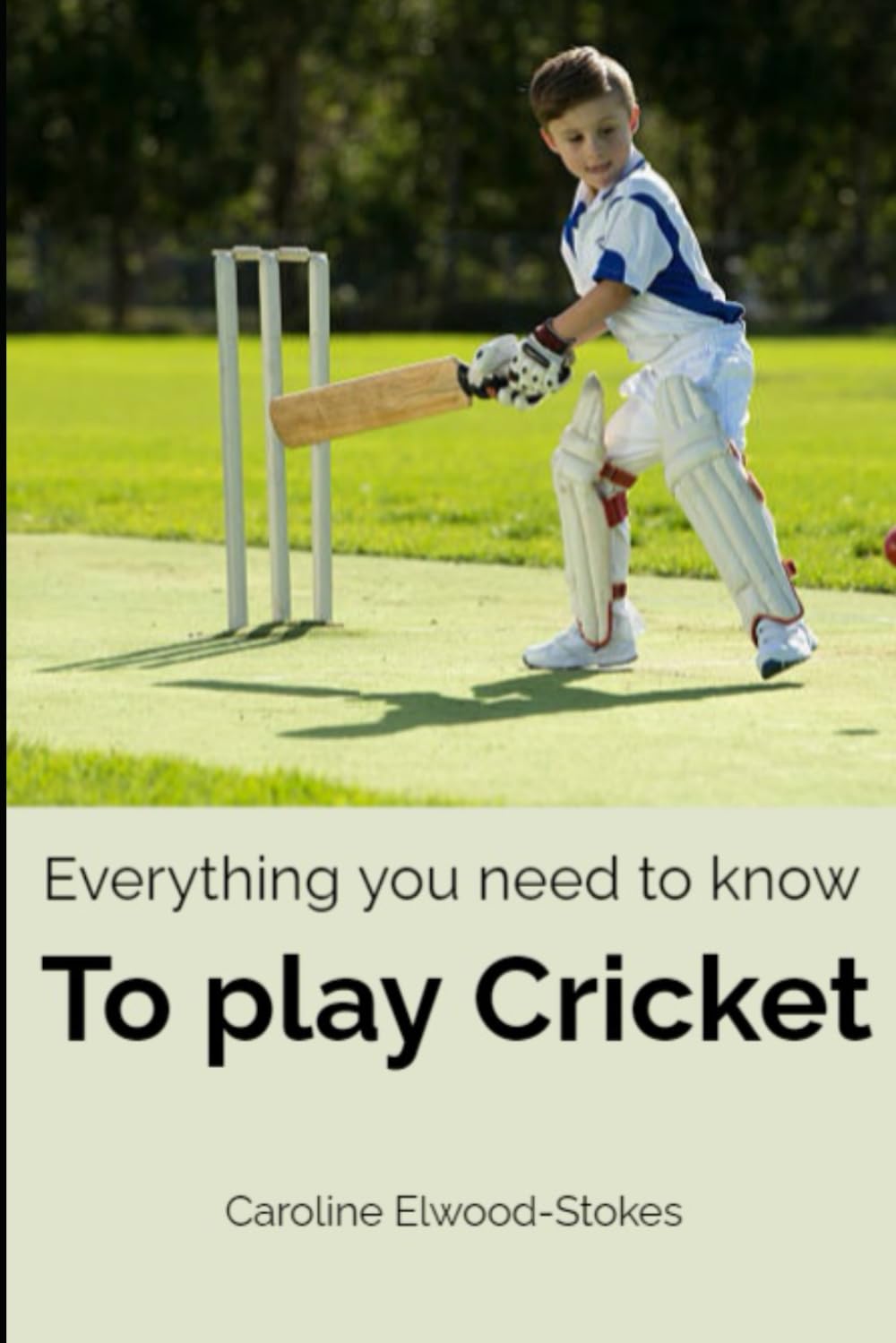 Everything you need to know To play Cricket (Everything you need to know for Cricketers)