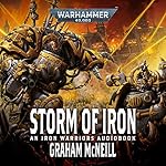 Cover of Storm of Iron