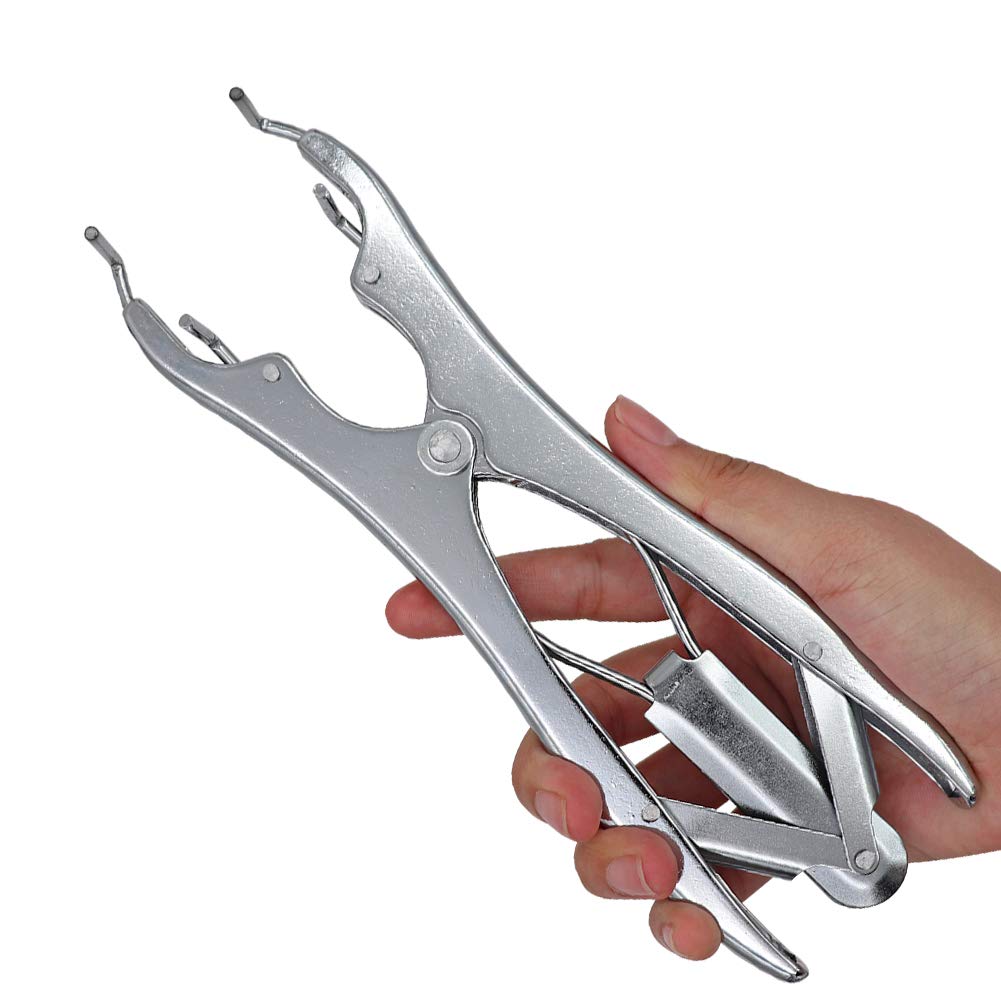 100 Anneaux De Caoutchouc Pour Castration Et écourtage Queue - Pour Bovins, Ovins, Porcs, élastiques Extensibles - 5