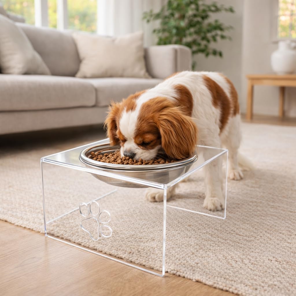 Comedouro Elevado para Cães e Gatos com Tigelas Inox, Bebedouro Pet em Transparente, Pote