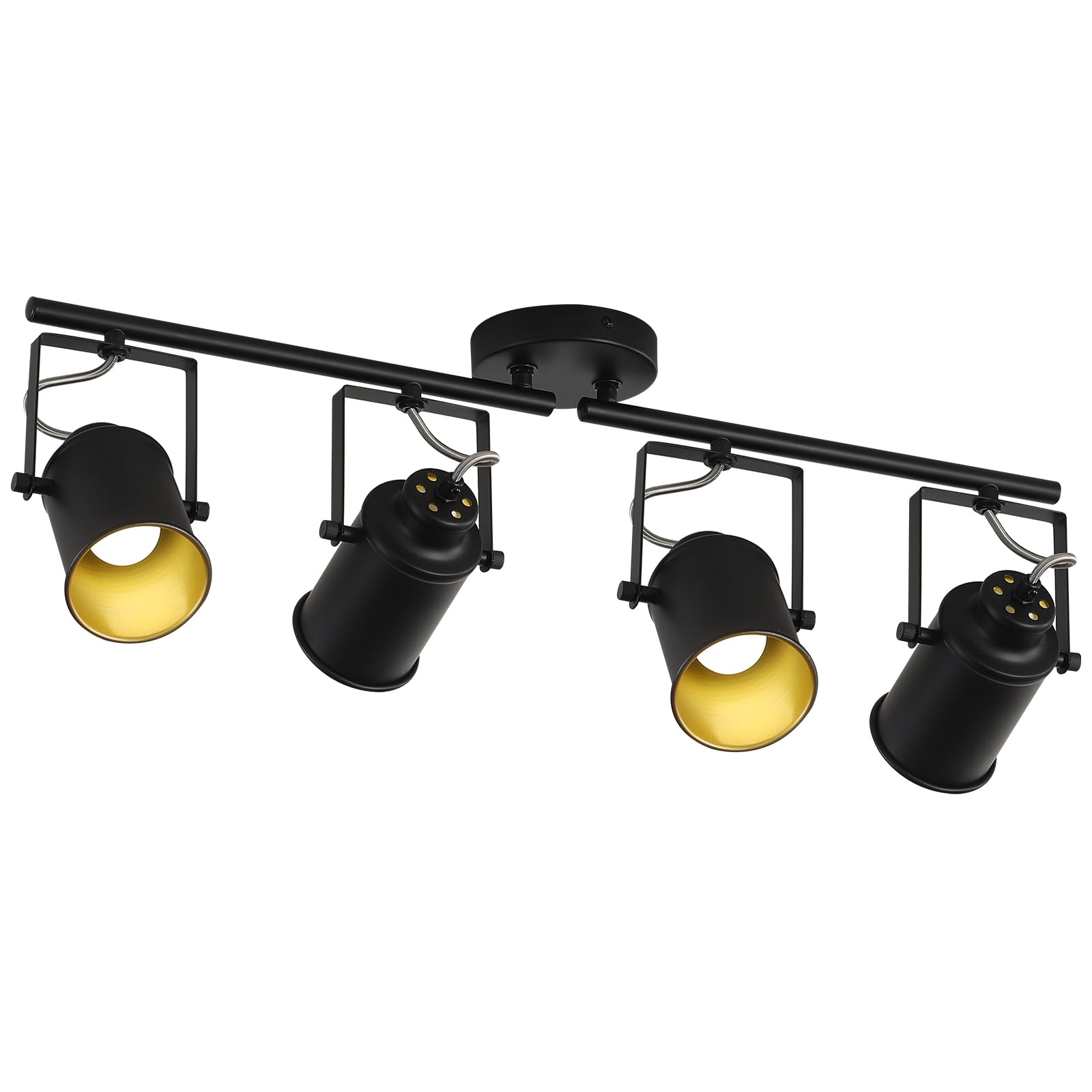 Directional Rail Lighting DLLT 3 Light Track Lighting Fixtures