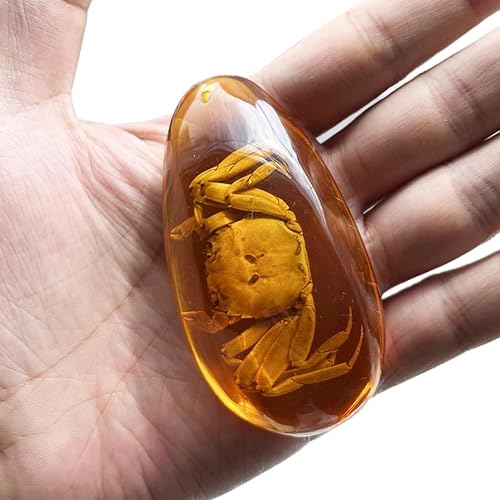 Fósil y muestra de ámbar, piedras de cristal, colección de decoraciones para el hogar, gran gota de agua, colgante en forma de gotas de agua,