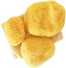 Sea Pearls- Classic Reusable Sea Sponges- Medium 2-Pack
