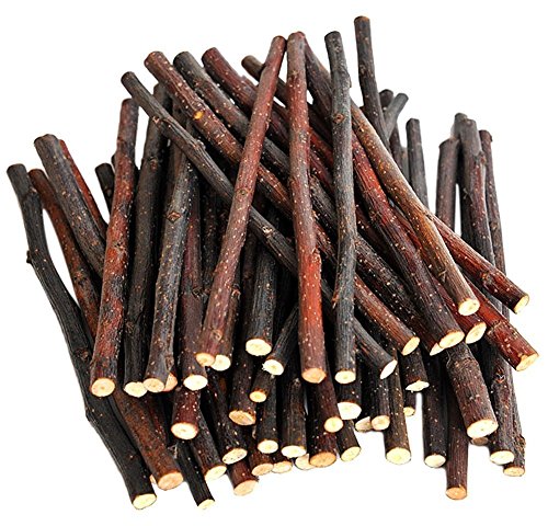 Purple Star 100g Pet Snacks Apple Sticks Chew Toy for Squirrel Rabbits Guinea Pigs Chinchilla Parrot (About 16-20 Sticks)