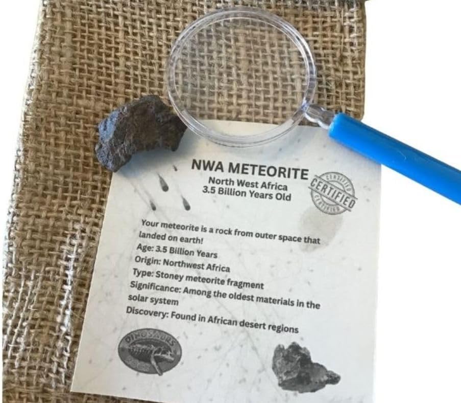 Genuine 3.5 Billion-Year-Old Space Rock Meteorite with Bonus Magnifier - Gift packaged! NWA Meteorite (Northwest Africa)