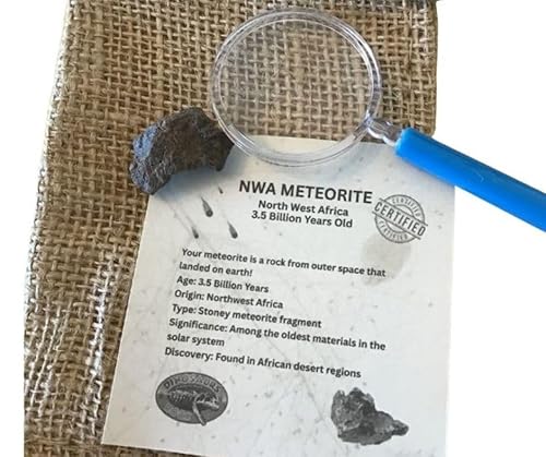 Genuine 3.5 Billion-Year-Old Space Rock Meteorite with Bonus Magnifier - Gift packaged! NWA Meteorite (Northwest Africa)
