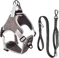 Coleira Peitoral e Guia Antipuxão Pet Cachorro MADOG Comfort (Cinza, G)