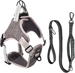 Coleira Peitoral e Guia Antipuxão Pet Cachorro MADOG Comfort (Cinza, G)