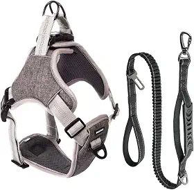 Coleira Peitoral e Guia Antipuxão Pet Cachorro MADOG Comfort (Cinza, G)