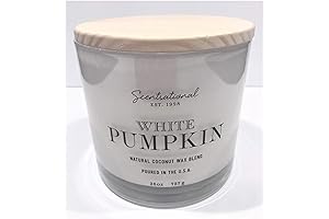 Scentsational White Pumpkin Candle w/ 100% Natural Coconut + Beeswax