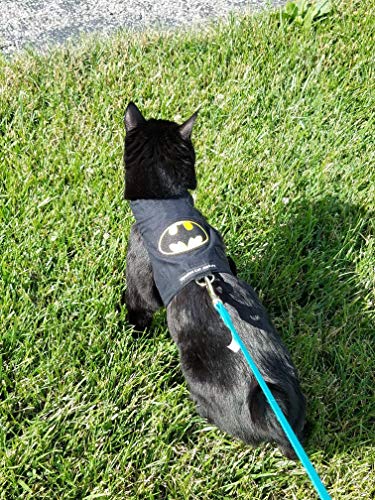 Mynwood Cat Jacke /Geschirre Batman Erwachsene Katze ausbruchsicher Cover