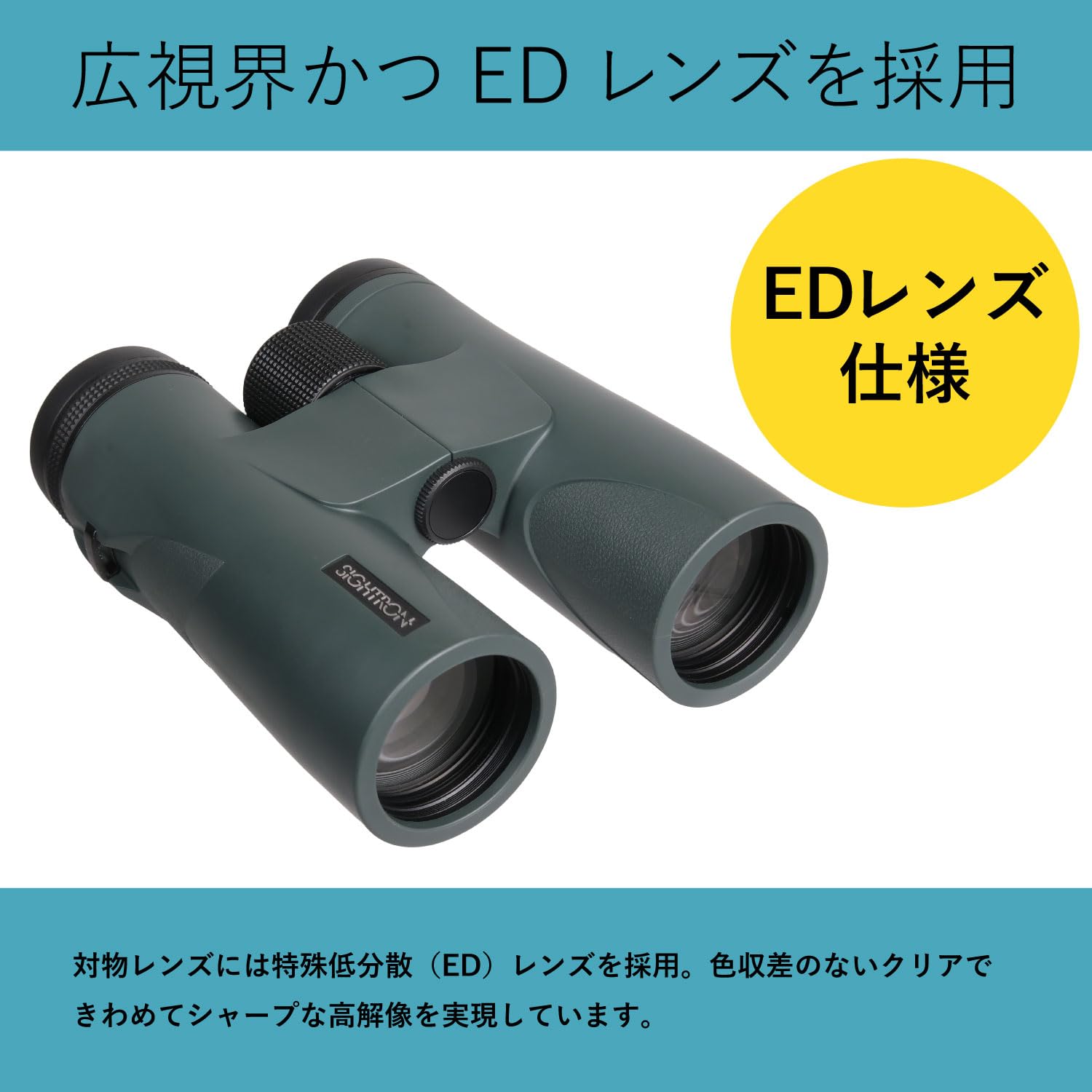 Amazon | SIGHTRON（サイトロン） SV 8×42 ED SWA 倍率8倍 口径42mm 広