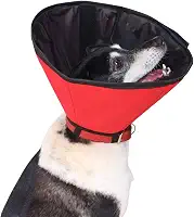 Colar Elizabetano Impermeável e Confortável Para Cães - Tam 02 - Pet Designer