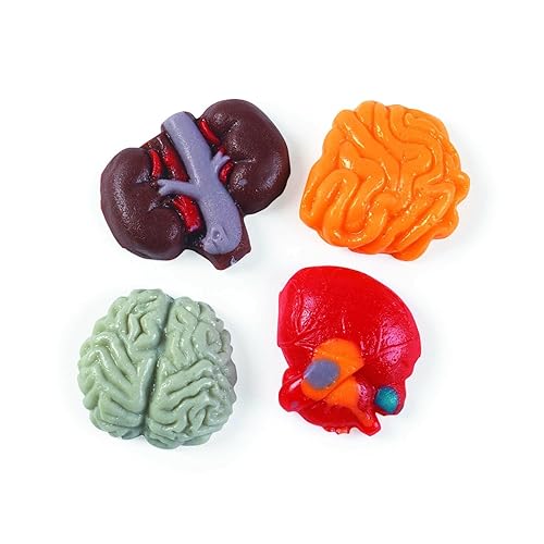 Caramelos de gomitas de cosecha de órganos de Halloween, paquete de 1 libra, gomitas de cerebro y tripas, ideales para fiestas de Halloween, bolsas