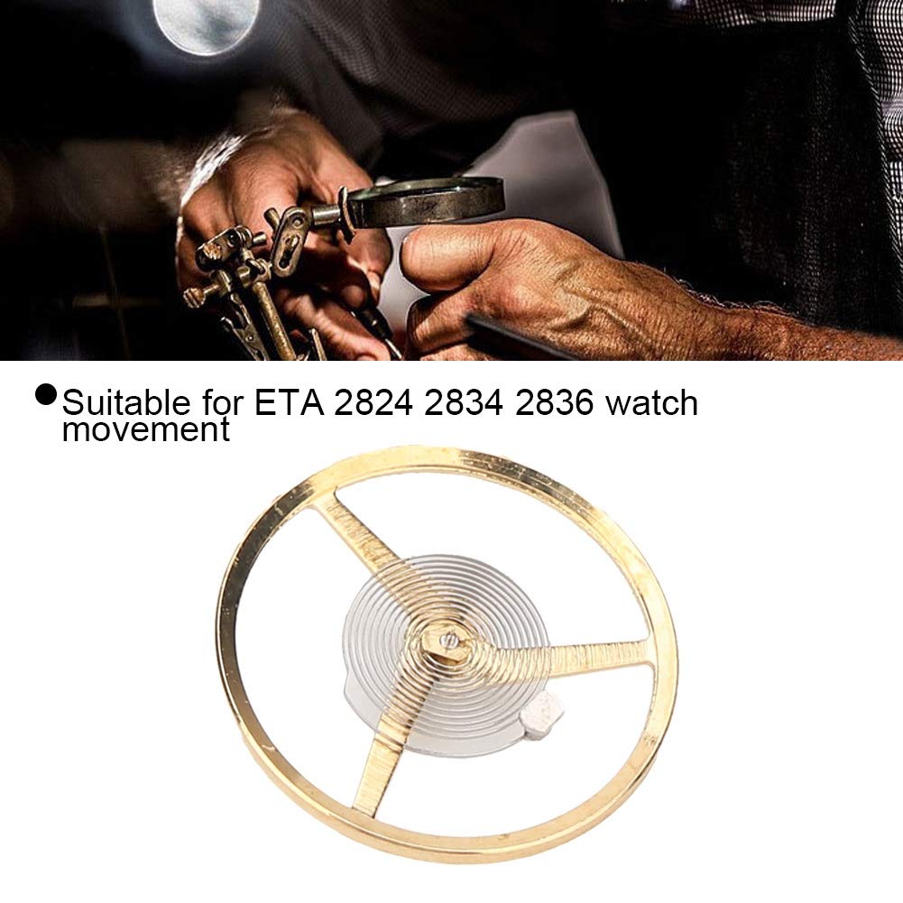 OROLOGIO AUTOMATICO PROMETHEUS Zenobia movimento ETA 2824-2 EUR 230,02