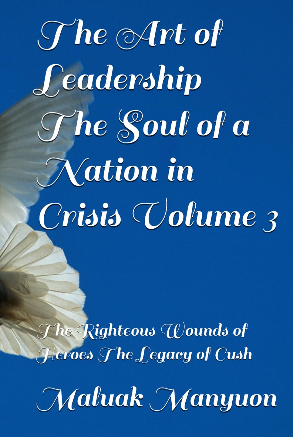 The Art of Leadership The Soul of a Nation in Crisis Volume 3: The Righteous Wounds of Heroes The Legacy of Cush