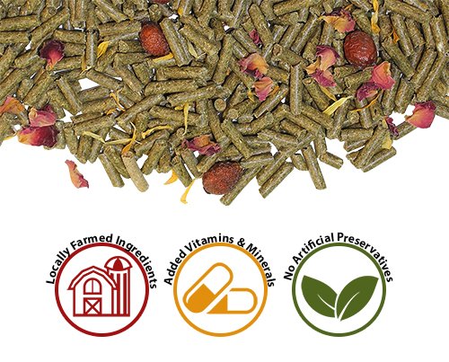 4.2 LB Guinea Pig Food - Pasture Plus+ Series - Nutritionally Complete Natural Healthy Pellet Diet - for Pet Guinea Pigs