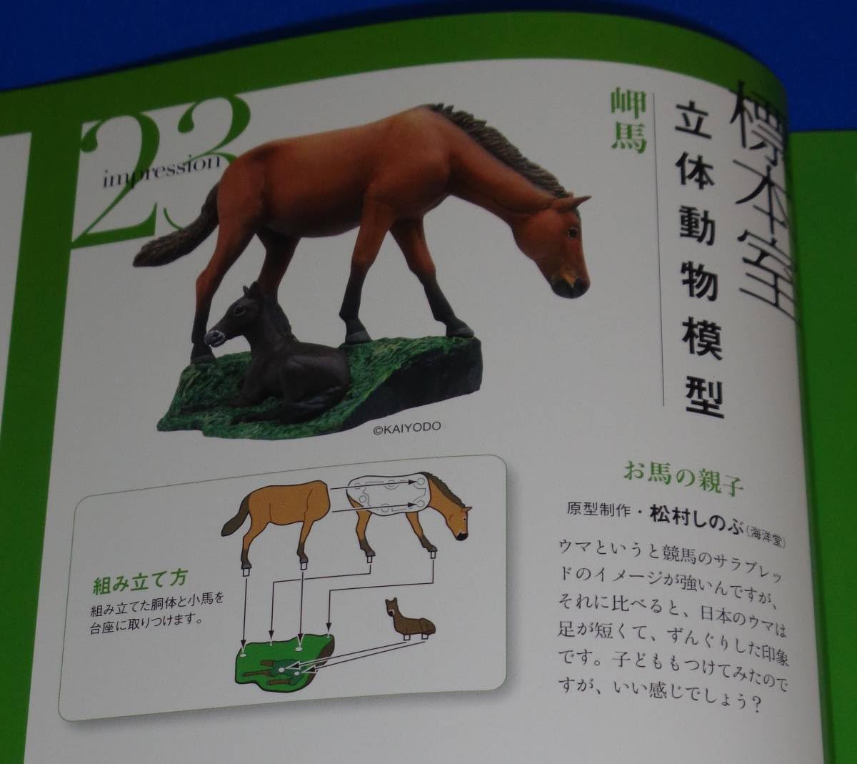 Amazon.co.jp: 岬馬 みさきうま 週刊日本の天然記念物23 動物編 海洋堂