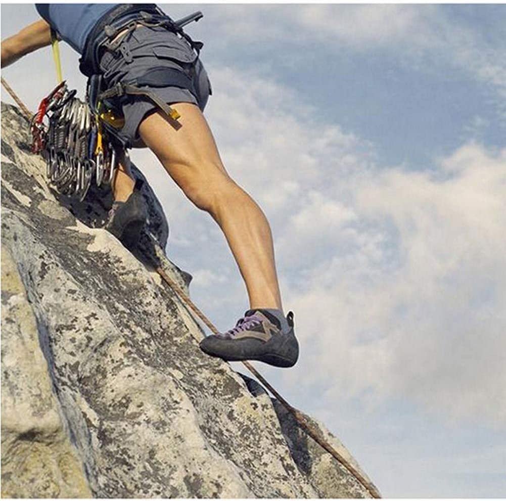 Het beste klimtouw voor sportklimmen (2025) - The Wild Scribe