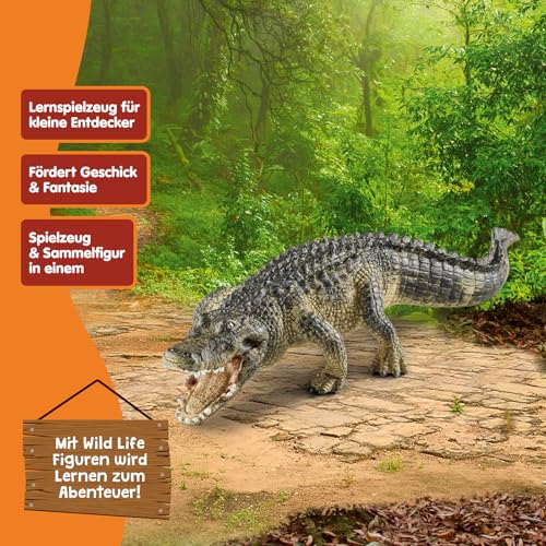 SCHLEICH WILD Life | Alligator 14727 | detailgetreue Tierfiguren | Zoo Spielzeug | tolles Geschenk für Jungen und Mädchen | Deko für Geburtstag | Spielfigur ab 3 Jahren | 19 x 6 x 4 cm