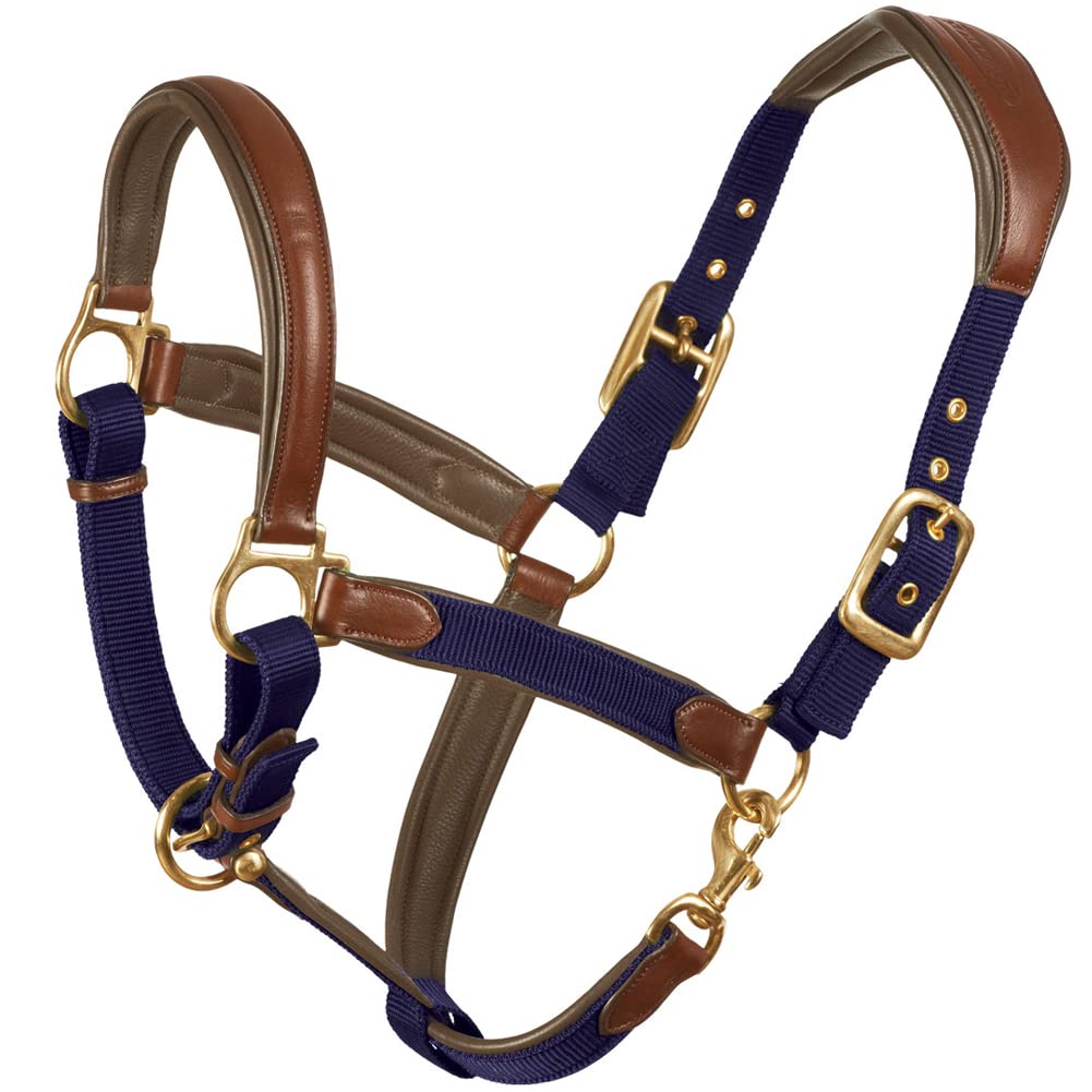 Ovation Equestrian Padded Leather Crownpiece Ergonomic Comfortable Adjustable Chin Luxor Cushion-Flex Halter, Navy, Horse