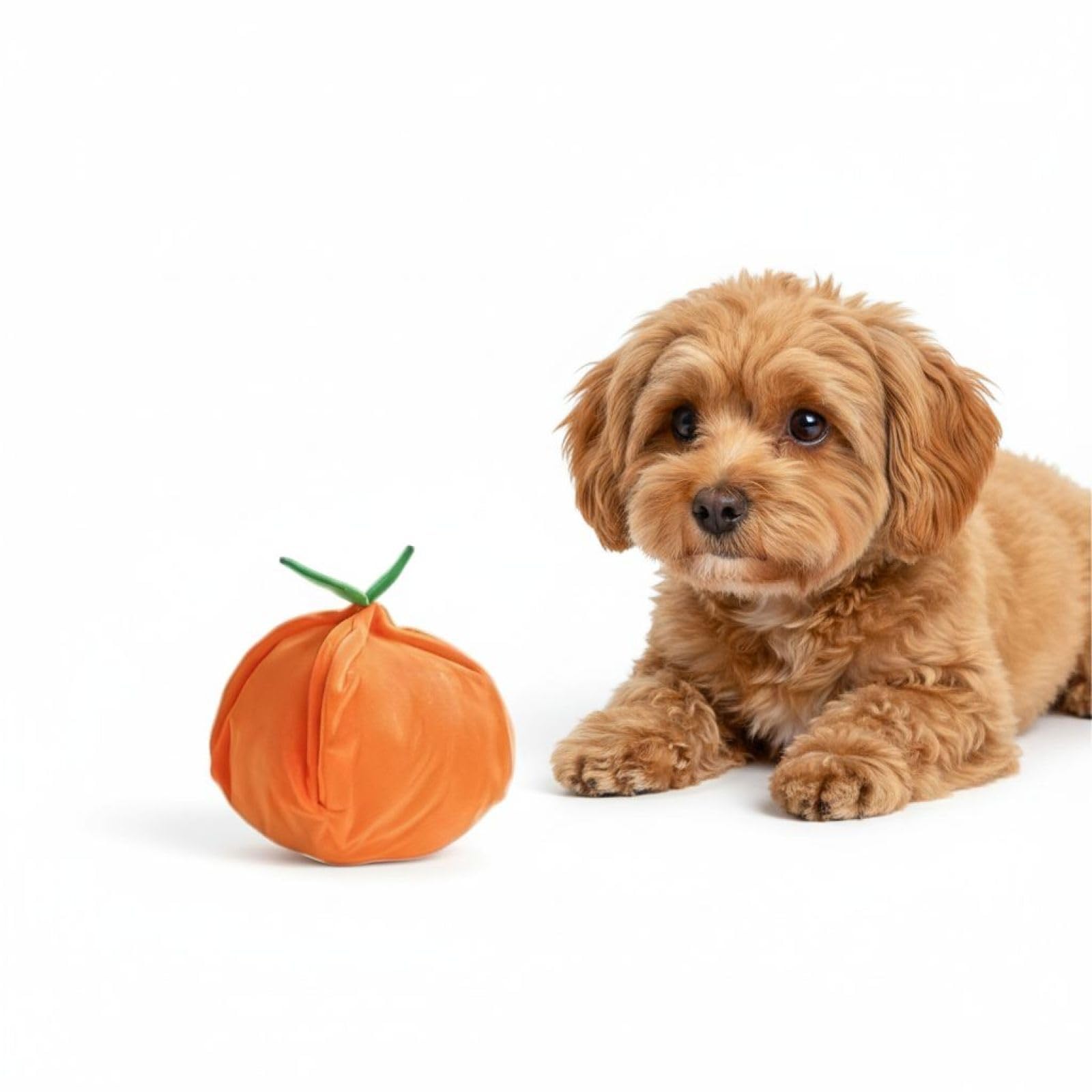 Orange Hundespielzeug, Versteckspiel Plüschhundespielzeug, quietschendes Plüschtier für kleine Hunde gegen Langeweile, Puzzle-Spielzeug zum IQ-Training, weiches Polyester-Kauspielzeug für Welpen