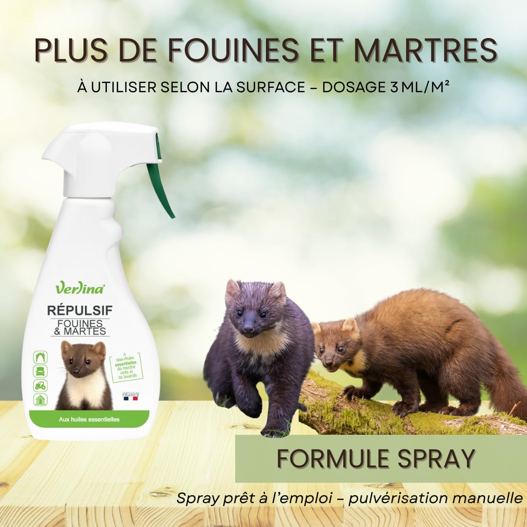 Répulsif Fouines et Martres, Spray 500 ml, Protection Naturelle à la Menthe Poivrée et Lavande, pour Intérieur et Extérieur
