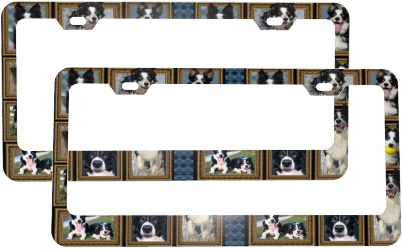 License Plate Frame (Border Collie Dog Pattern) 2 Holes License Plate Holder with Accessories (2 Pack)