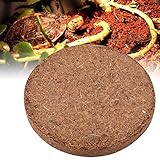 HEEPDD Decoración de Reptiles, Reptil Suelo de Fibra de Coco Sustrato Ladrillos Terrario Ropa de Cama Almohadilla de Alfombra de Arena para lagartos araña Escorpión Decoración del Paisaje