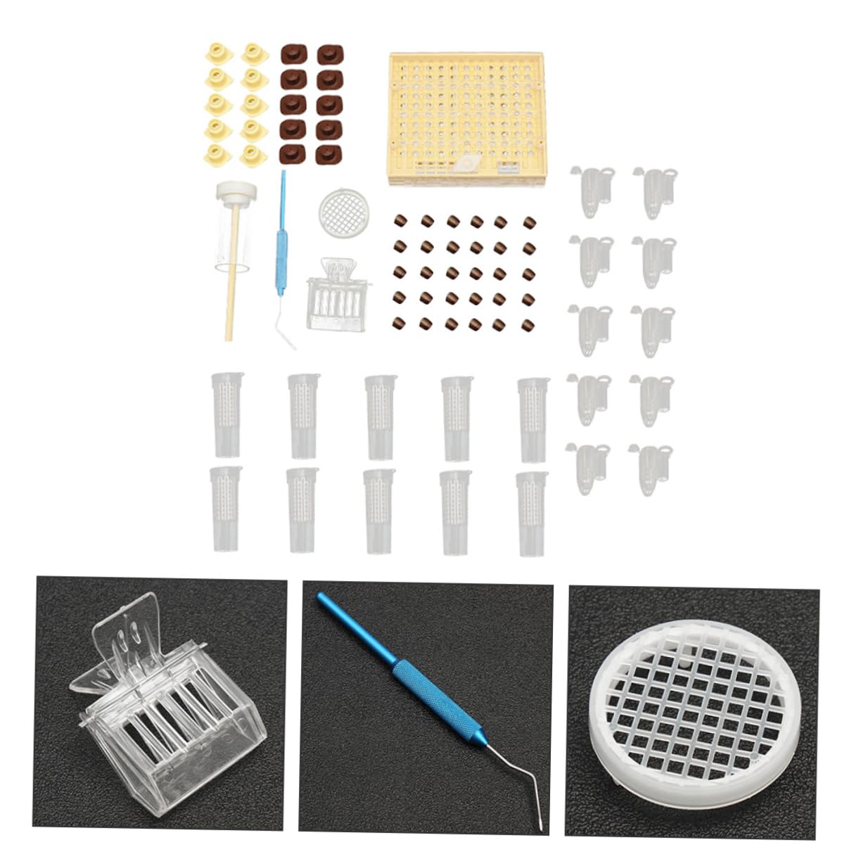 Kit de Cría de Reinas para Apicultura Caja Protectora Abs | Sistema de Cultivo, Uso Sencillo y Práctico, Ligero, para Manejo de Colmenas en Temporada de Reproducción Color Aleatorio